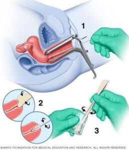 analizy ginecolog4 analizy ginecolog4
