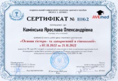 sert small akusher ginekolog com ua