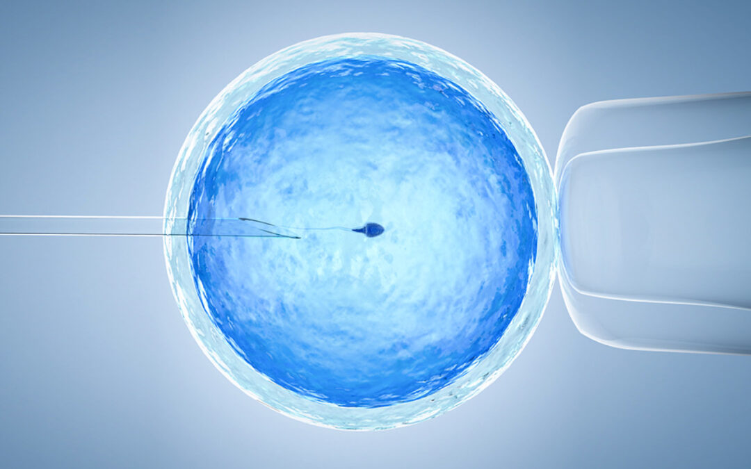 Екстракорпоральне запліднення: як це працює