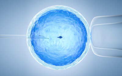 Екстракорпоральне запліднення: як це працює