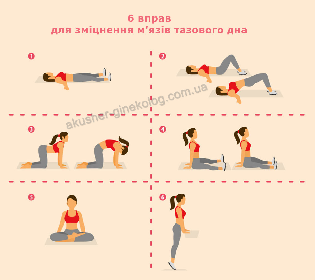 вправи на зміцнення м'язів тазового дна akusher ginekolog com ua