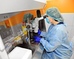 Зображення: ІКСІ процедура